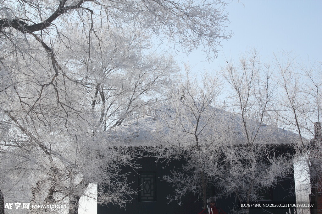 冬日银装素裹的树木景观