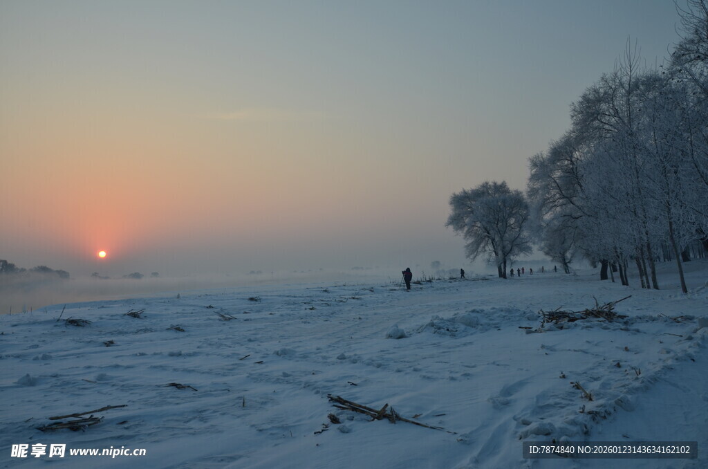 冬日雪地日出静谧景象