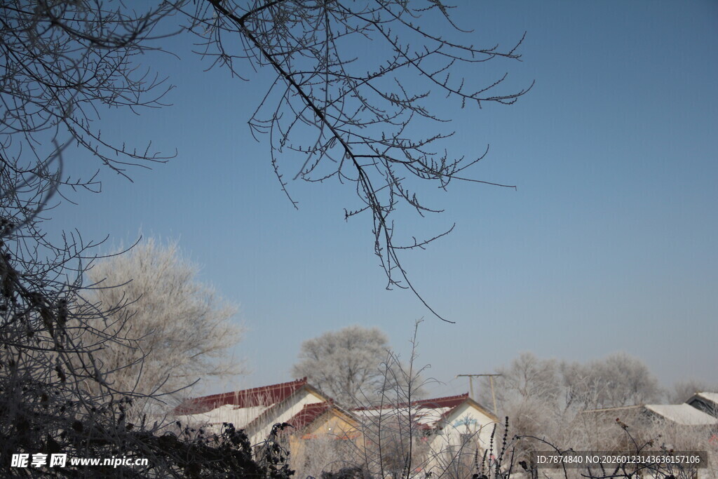 冬日霜覆村庄景致