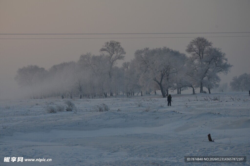 冬日雾凇雪景中的静谧树林