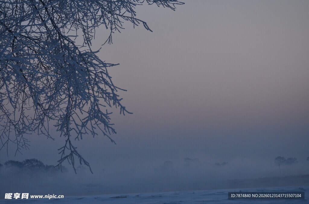 冬日雾凇景观