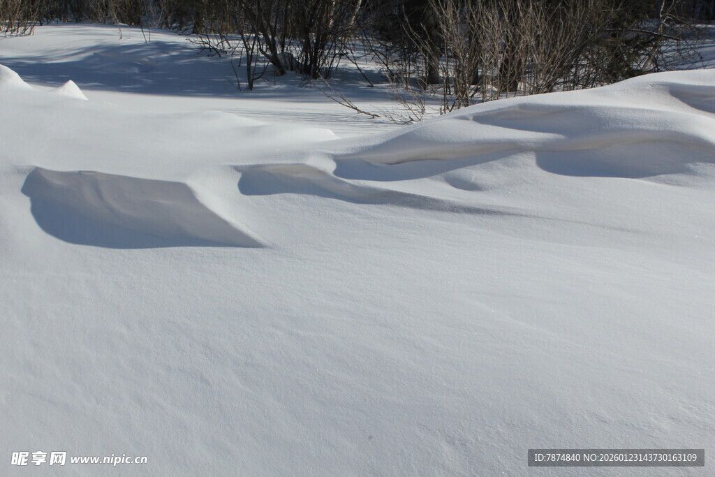 冬日雪景 起伏雪堆景观