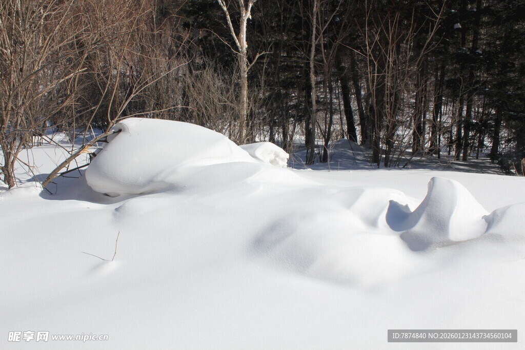 冬日雪景中的雪堆与树木