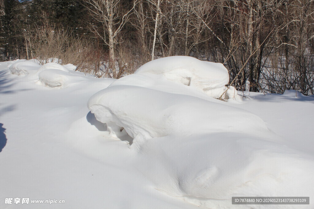 冬日雪景中的雪堆景观