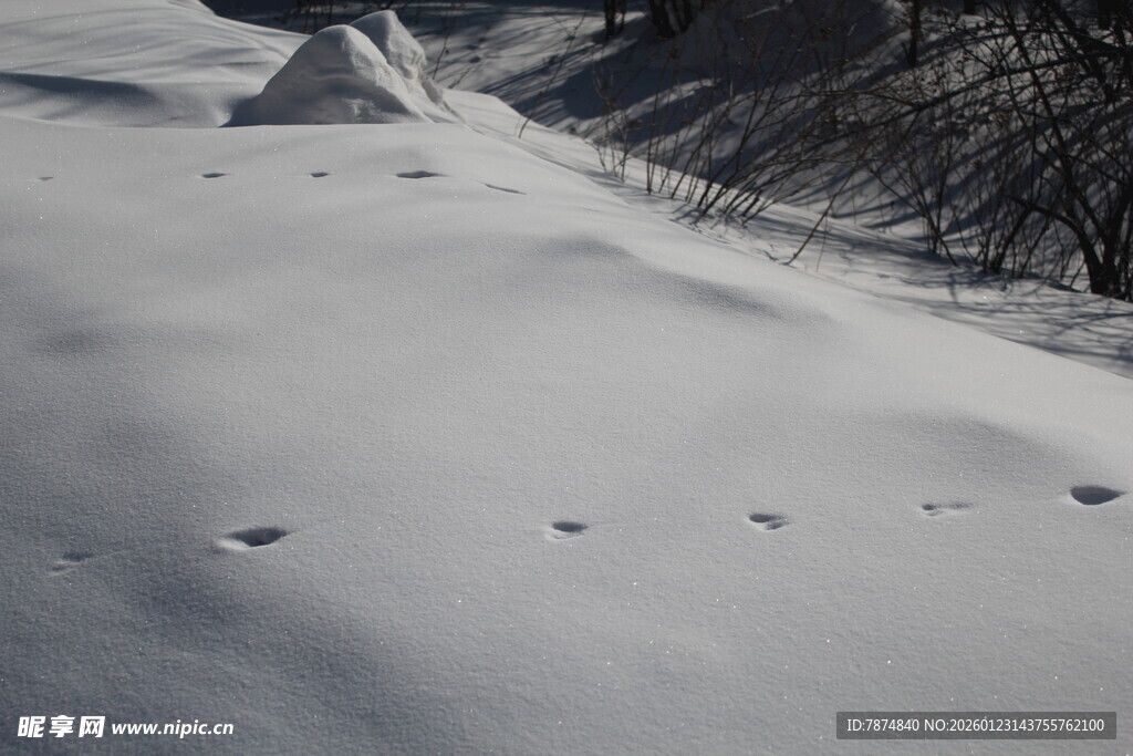 雪地中的帐篷与脚印