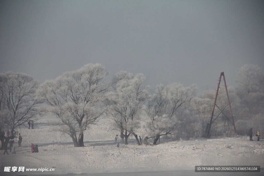 冬日雪景中的树木与机械