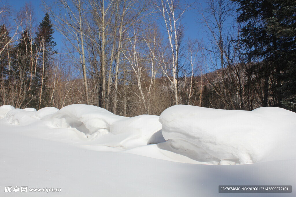 冬日雪野中的雪堆与树木