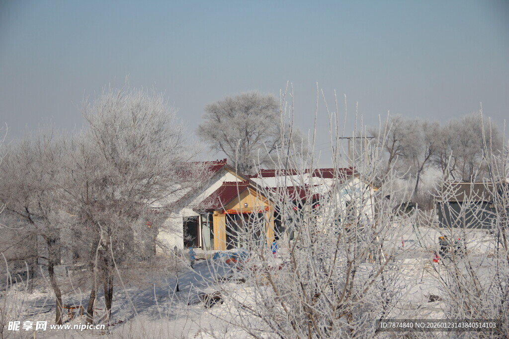 冬日雪覆村庄美景