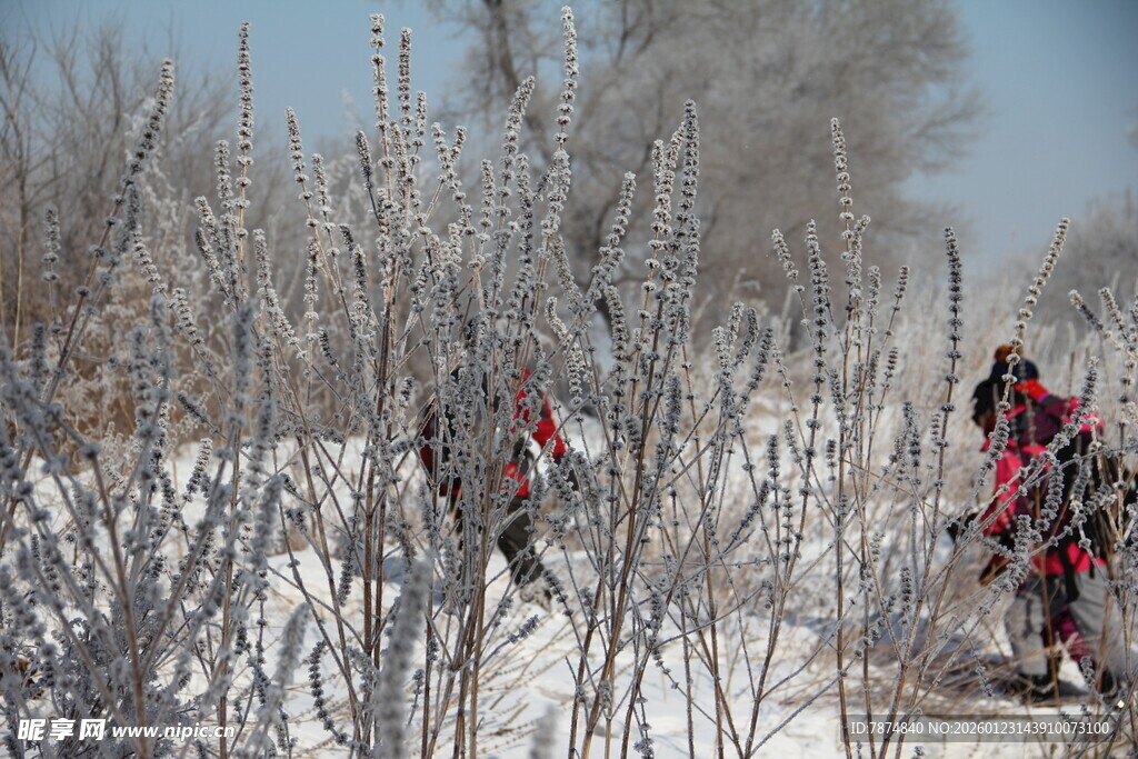 雪地中工作人员野外作业