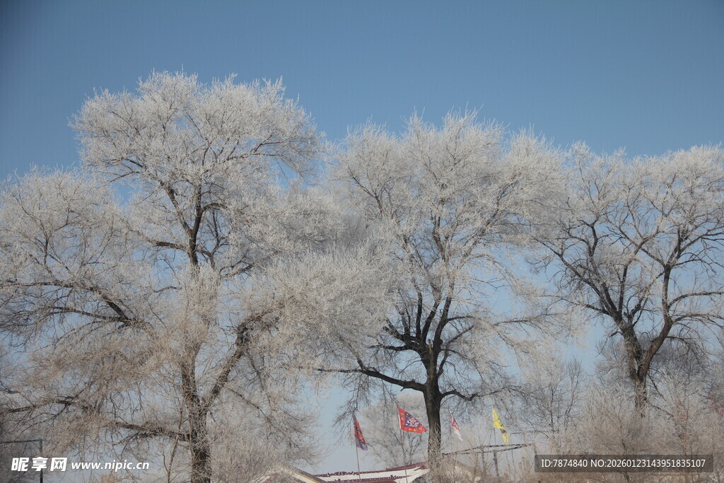 冬日雾凇景观