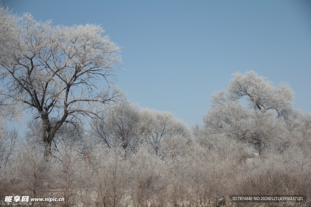 冬日雾凇景观