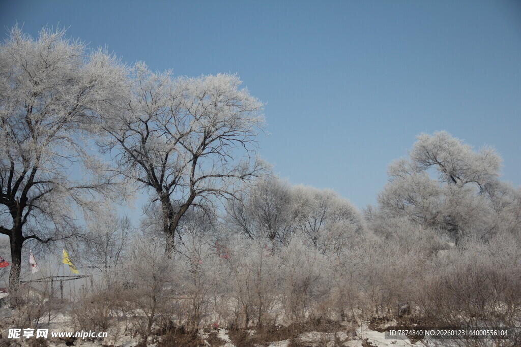 冬日雾凇景观