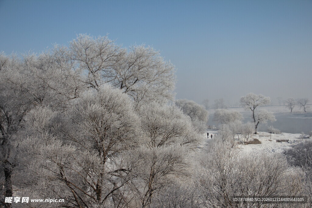 冬日雾凇景观