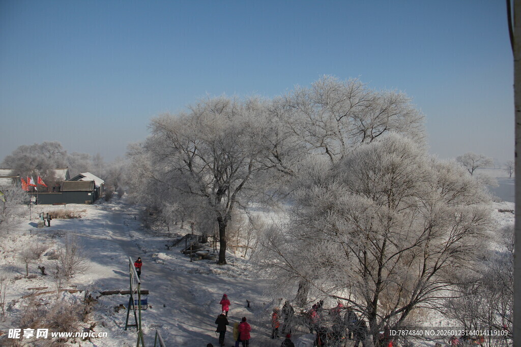 冬日雪景中的雾凇奇观