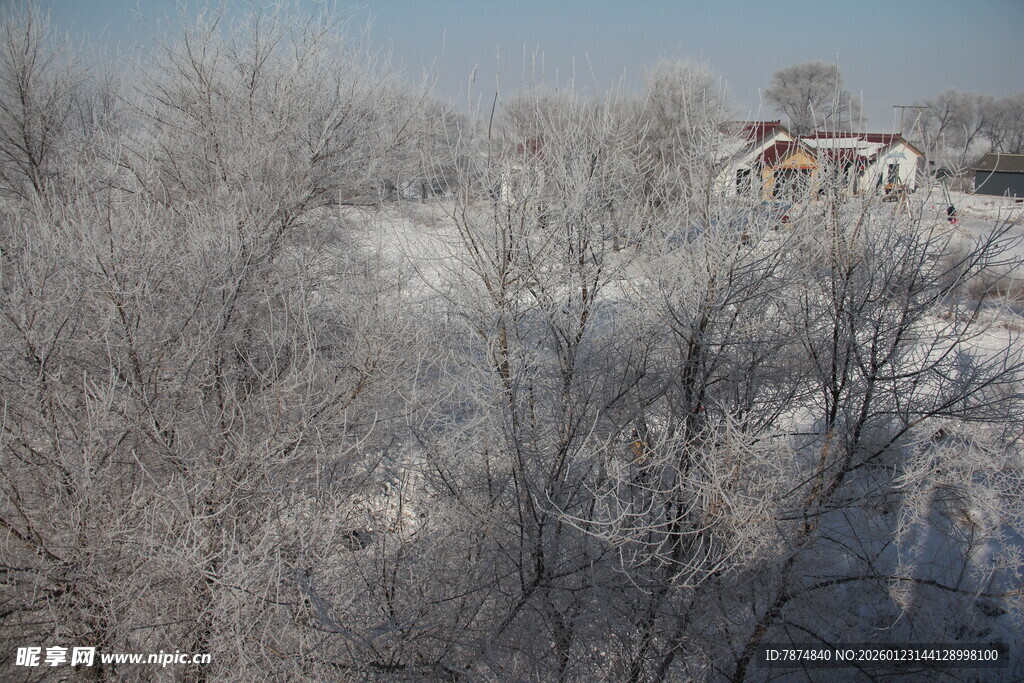 冬日银装素裹的树林景观 长白山