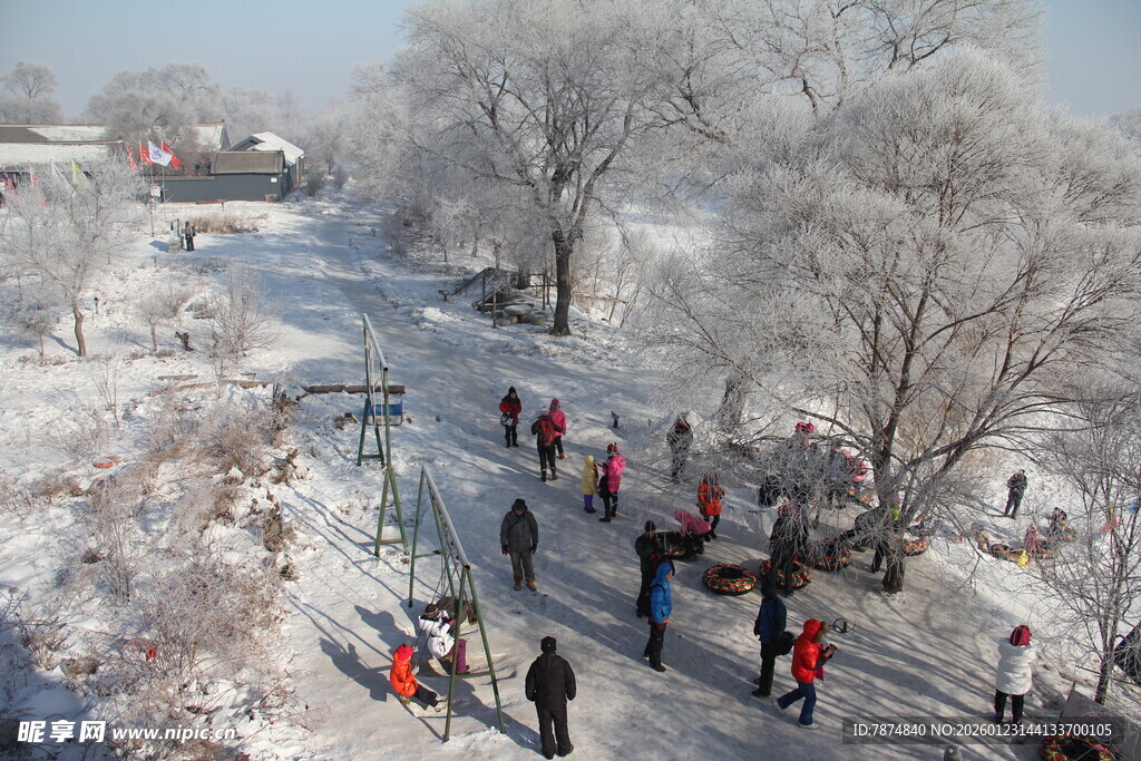 冬日雪林漫步景 长白山