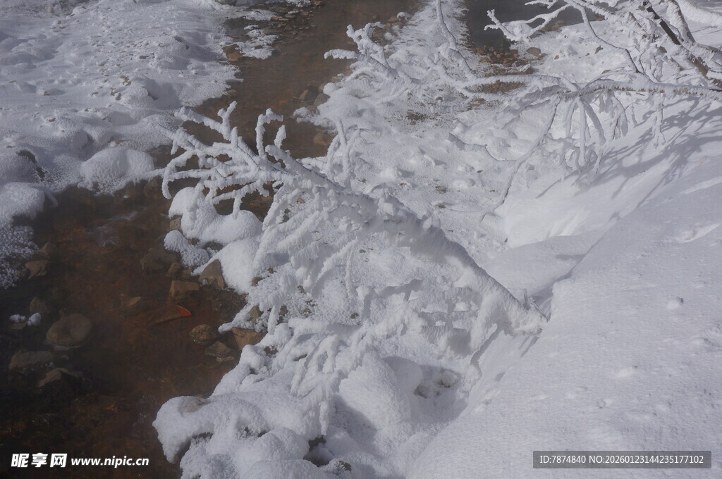 雪覆树枝 冬日自然景致 长白山