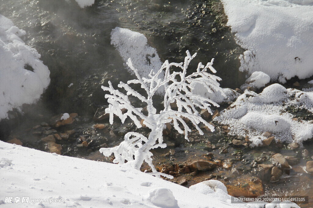 雪覆枝丫的冬日景致 长白山