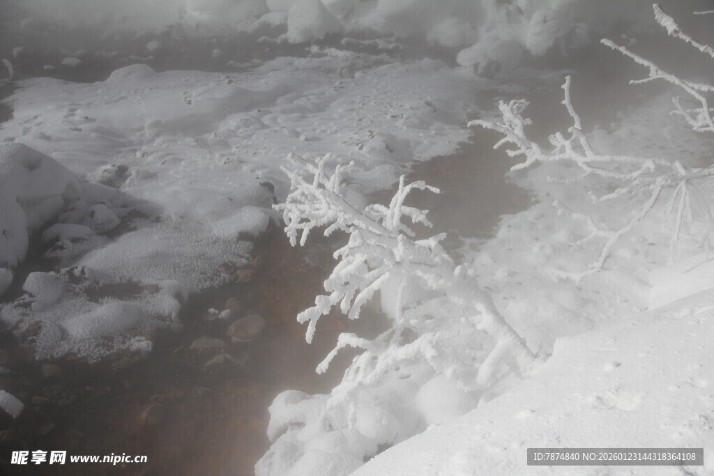 雪覆植物的冬日景致 长白山