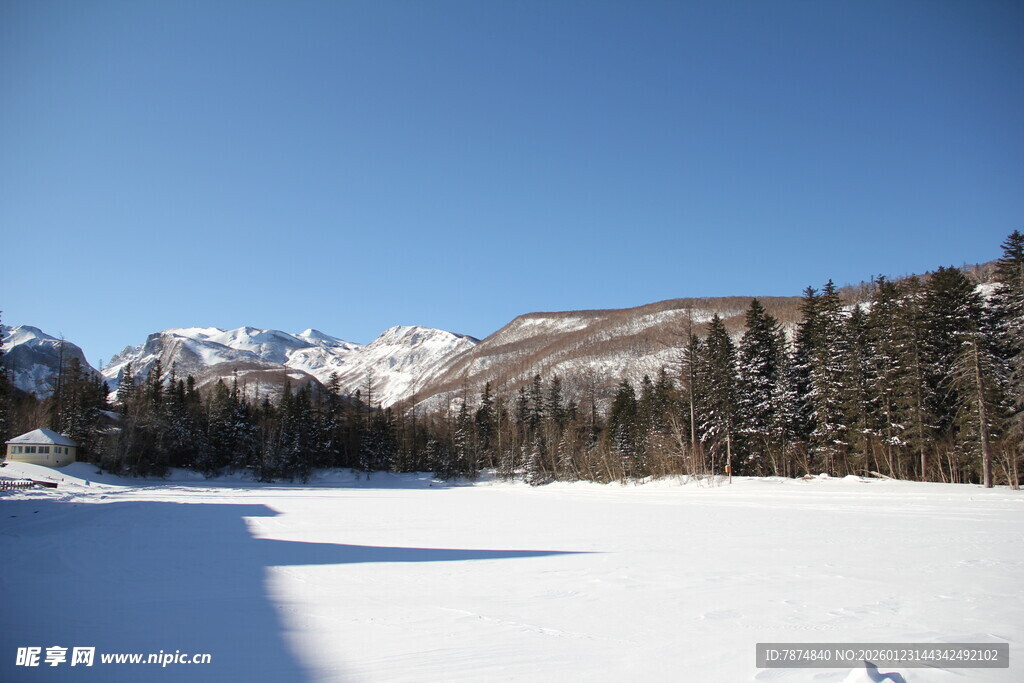 冬日雪山下的静谧雪地 长白山
