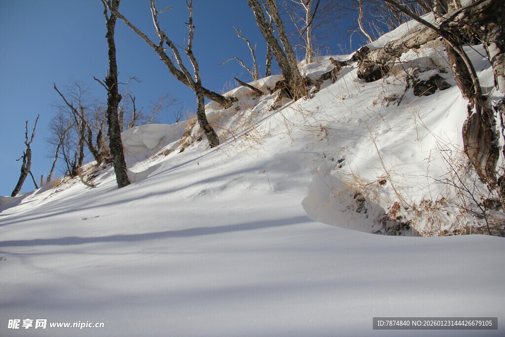 雪覆山坡与枯树景观 长白山