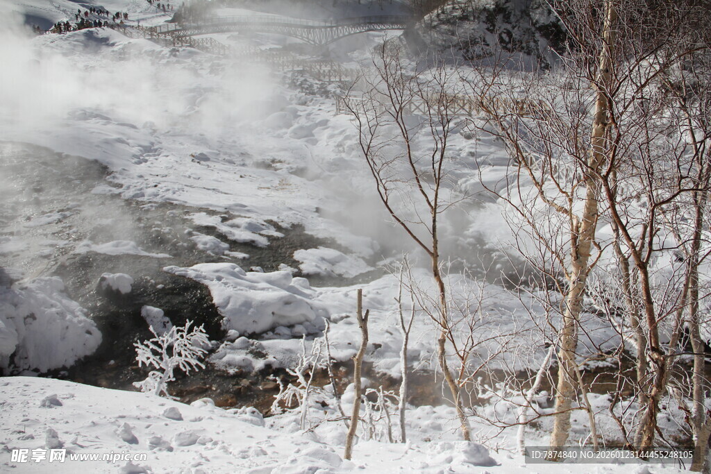 冬日雪景中的枯树与雾气 长白山