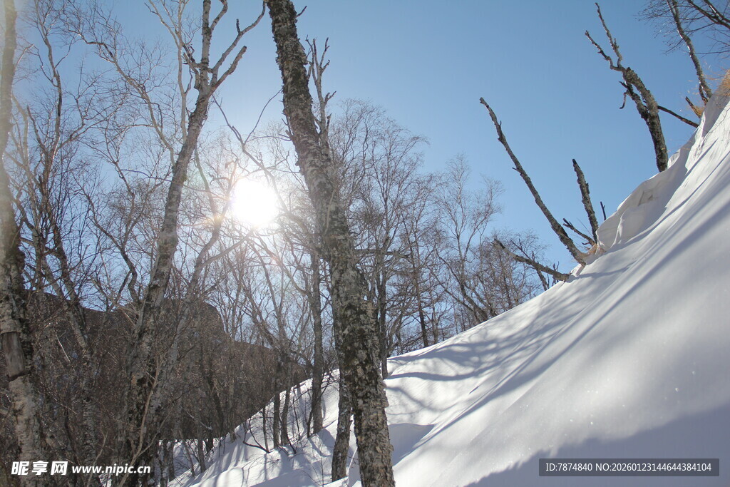冬日雪林 阳光洒落美景 长白山