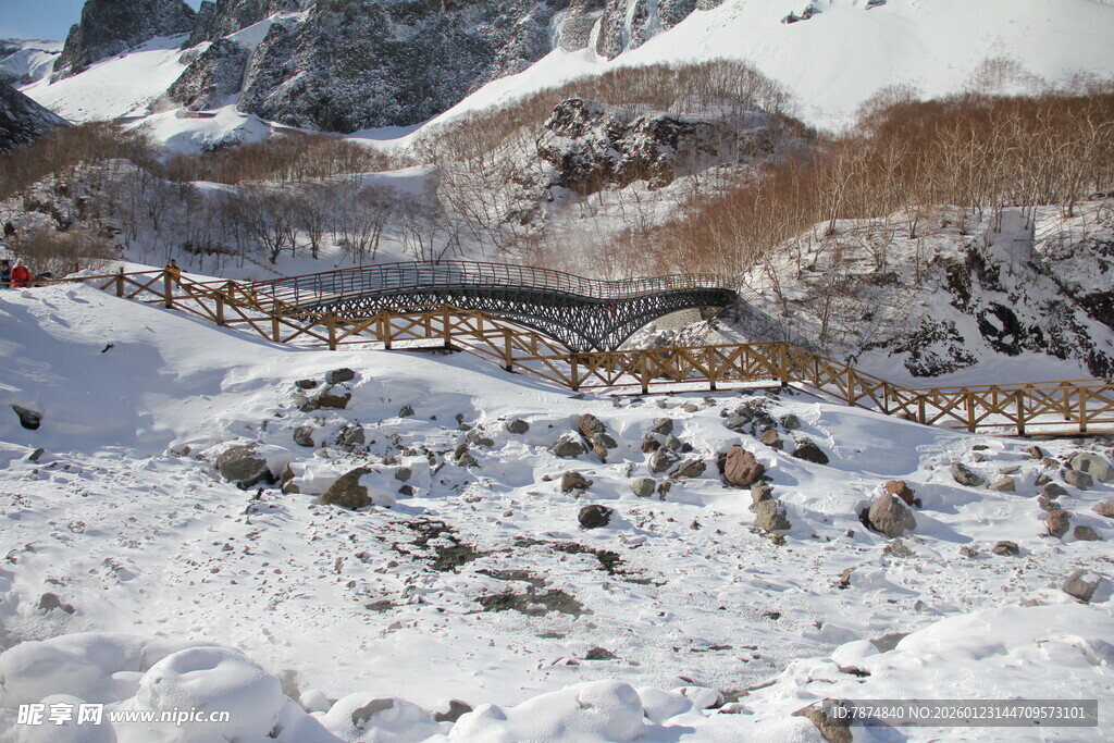 雪山下的羊群景观 长白山