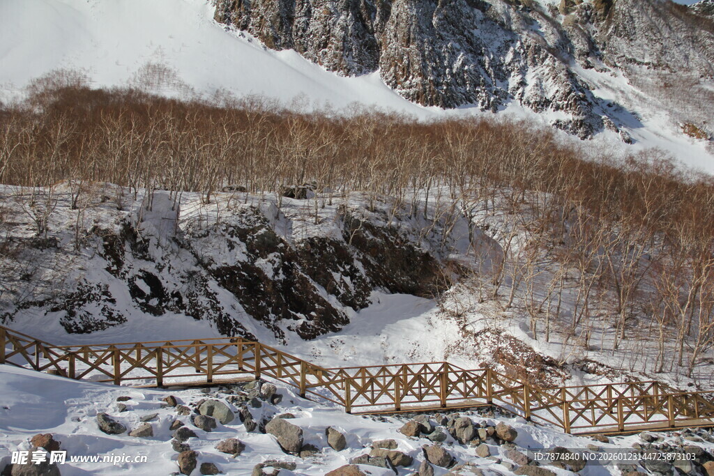 雪山下的木质围栏景观 长白山