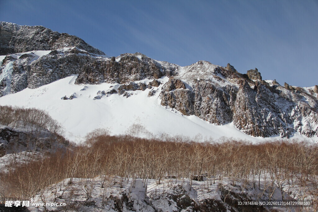 雪山与枯林的壮丽景致 长白山