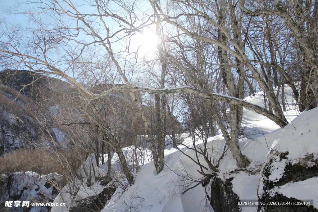 冬日雪覆山林美景 长白山