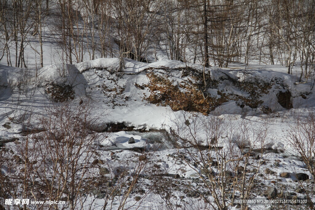冬日雪覆山林岩石景观 长白山