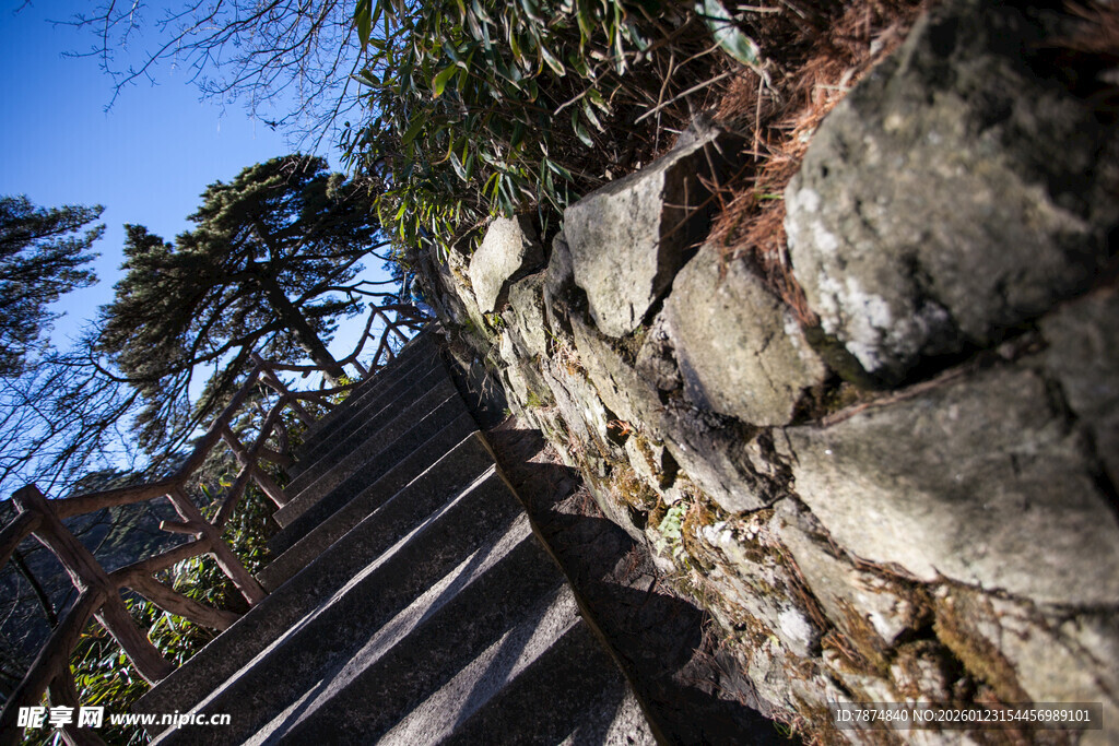 石砌墙旁的自然景致