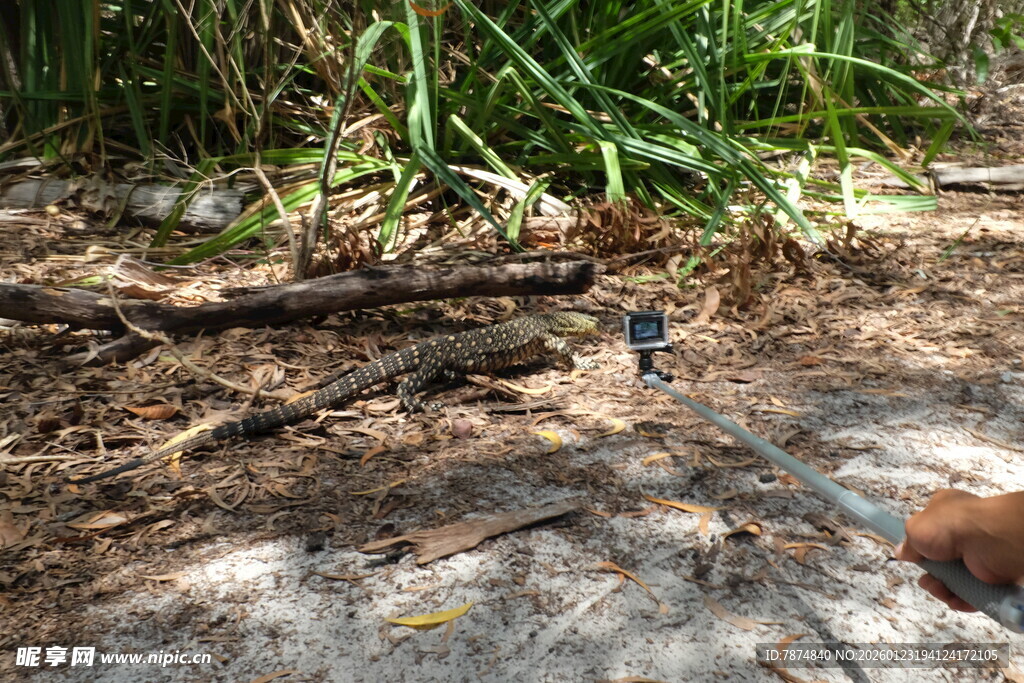 地面上的杂物与绿植