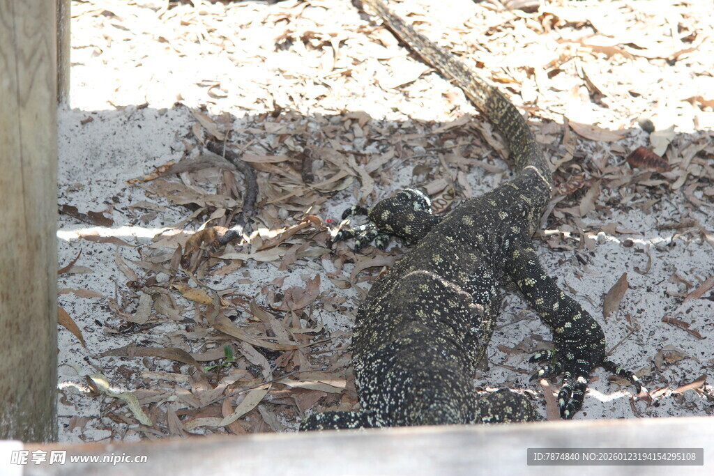 雪中持杖行走的孤独身影