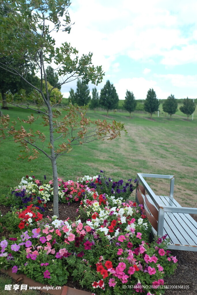 花园中的多彩花卉与长椅