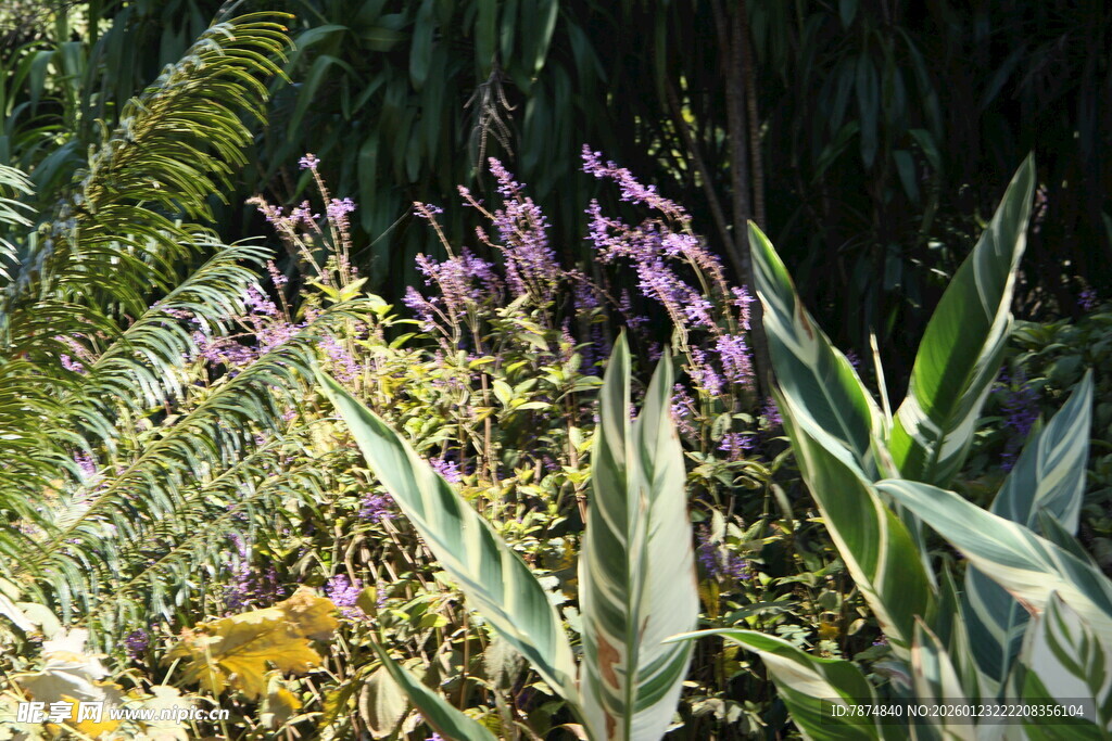 多彩花卉绿植景观