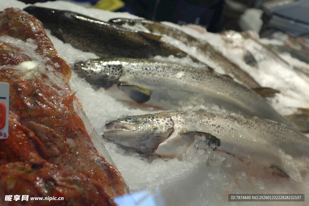 新鲜海鱼陈列展示