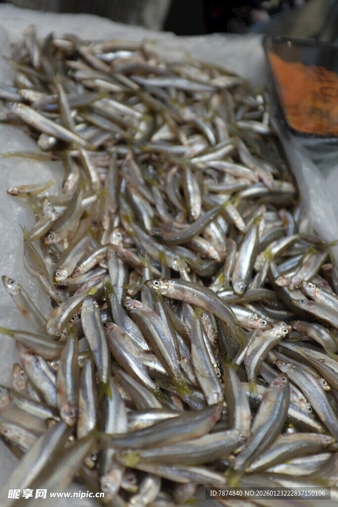 大量小鱼堆放在一起