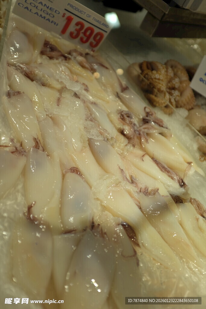 冷冻鱼肉陈列展示