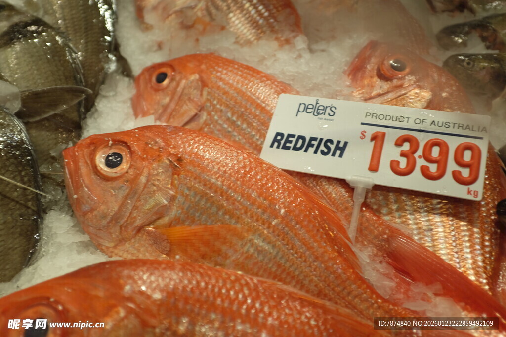 新鲜红鲷鱼售卖中