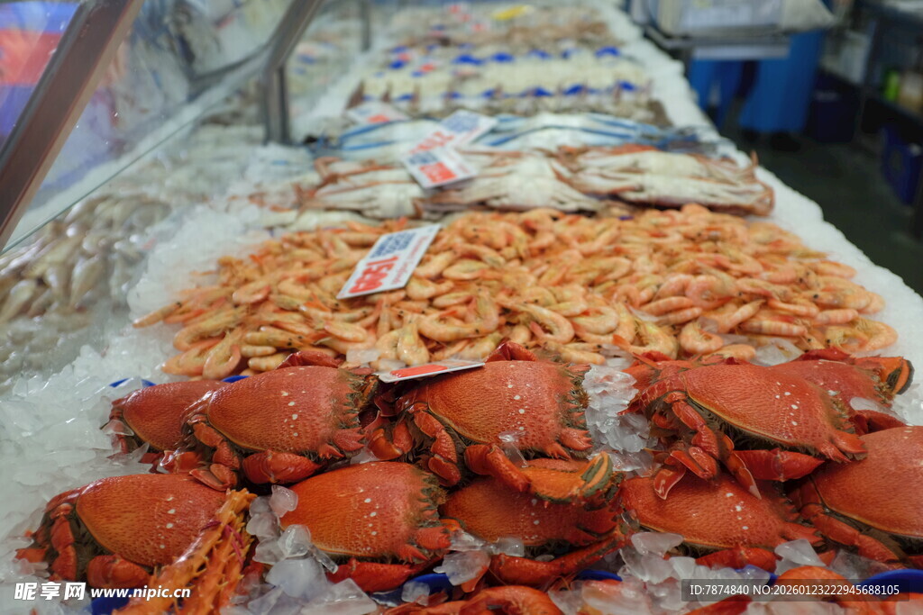 海鲜摊位的多样海鲜陈列