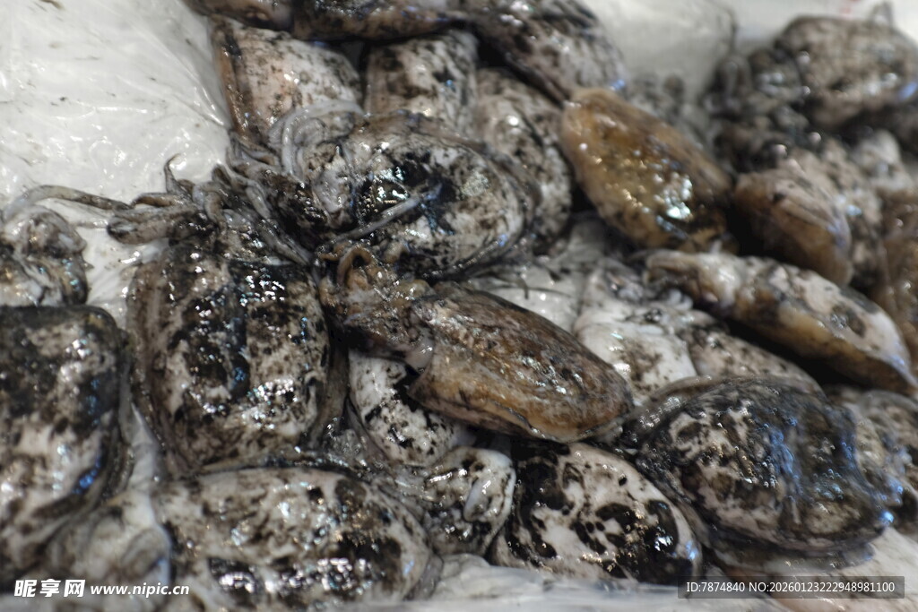 一堆黑褐色贝类海鲜