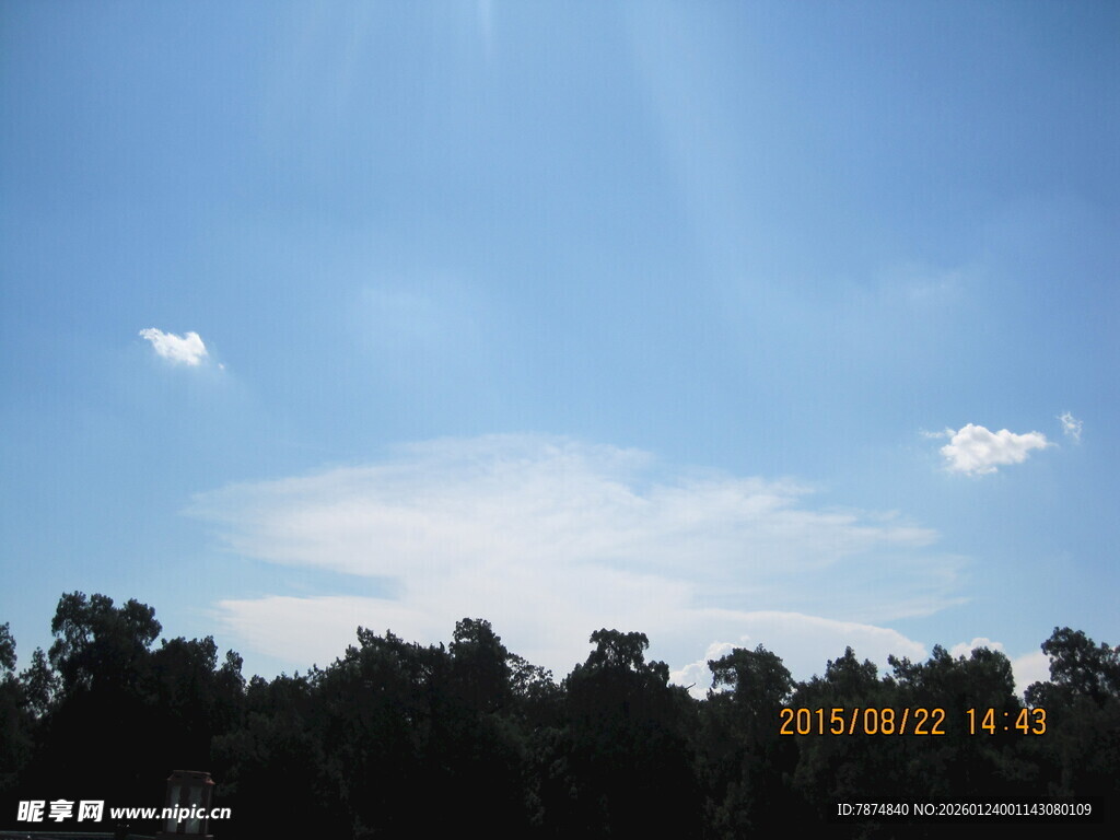 晴朗蓝天与树梢风景