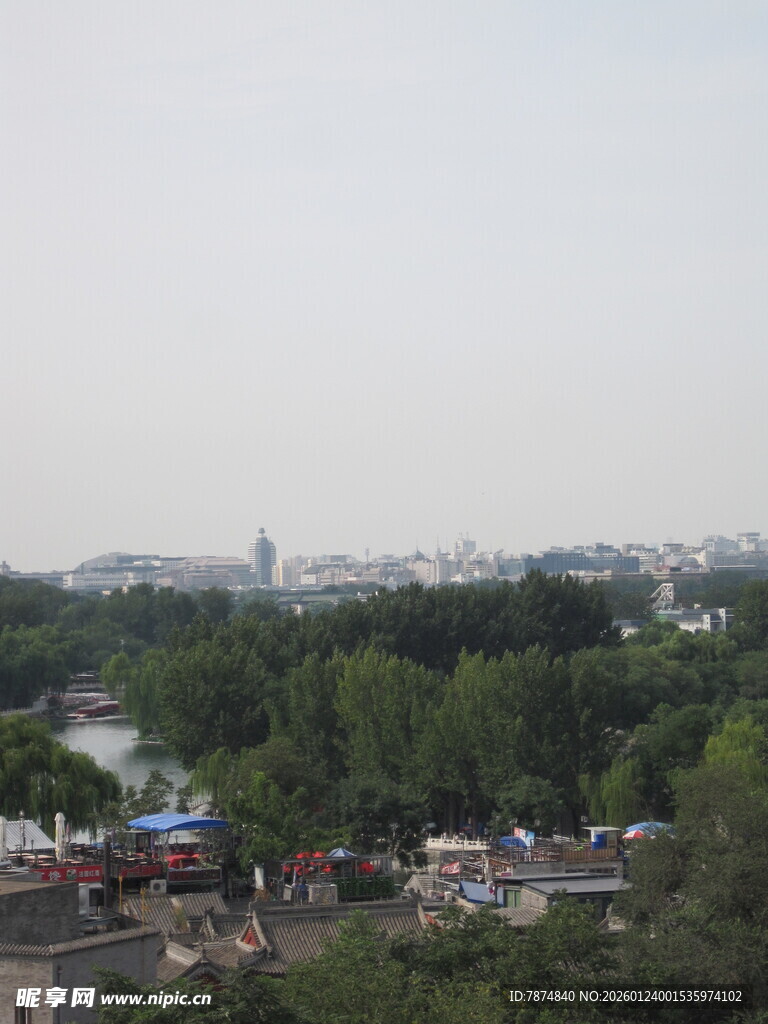 城市远景中的绿树景观