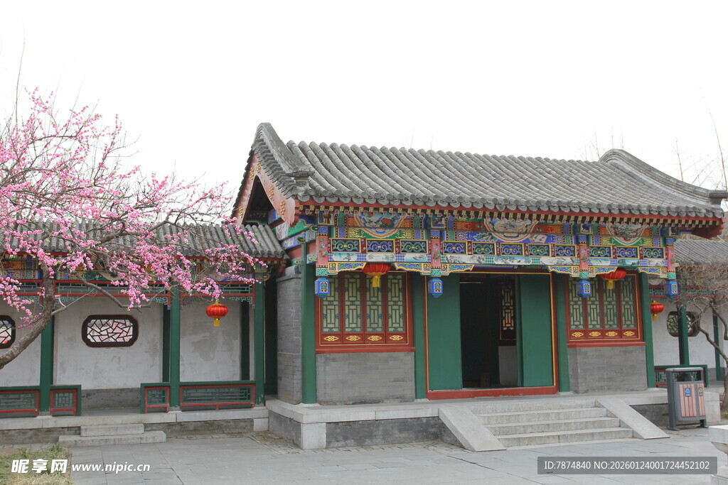 古雅中式建筑旁繁花绽放