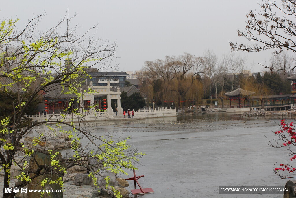 湖畔中式景致 春意初显