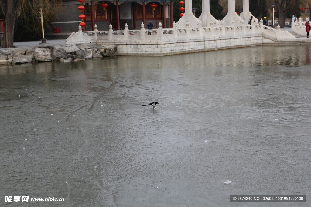 冬日湖面与古建筑景观