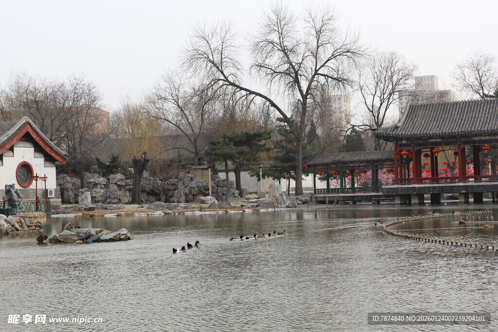中式园林湖畔古典建筑景观