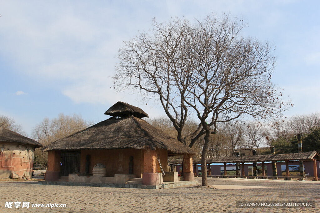 乡村古朴小屋与光秃树木